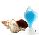 CONCH CARIBE 25ML 2022