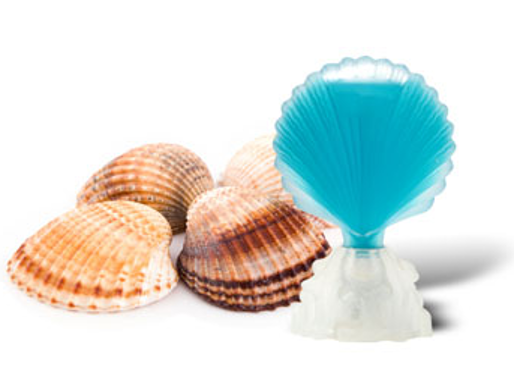 SHELL CARIBE 50ML 2022