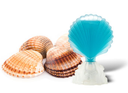 SHELL CARIBE 50ML 2022