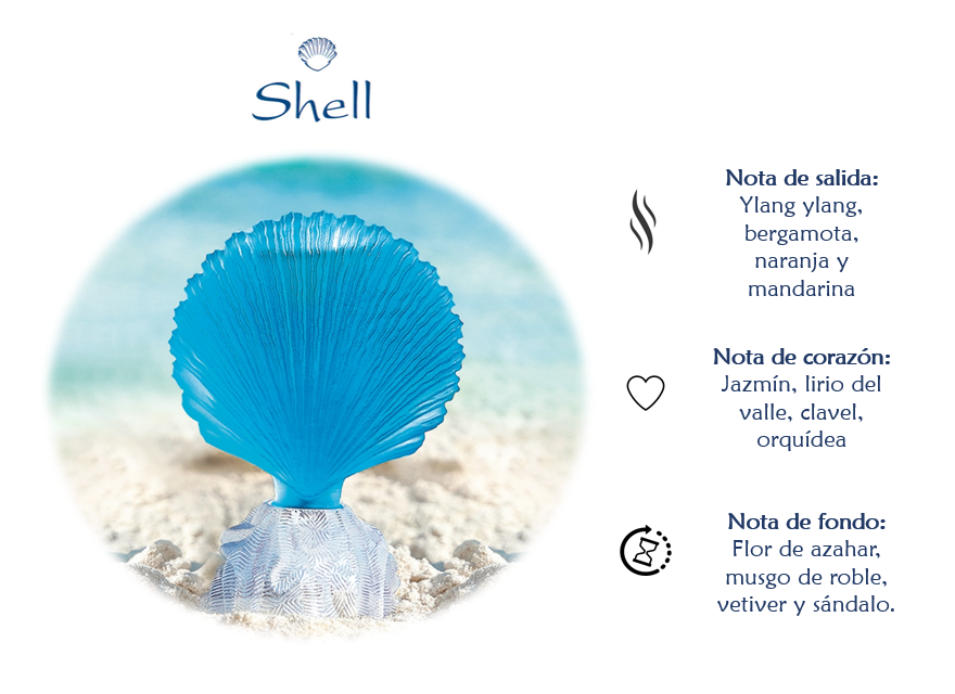SHELL CARIBE 50ML 2022