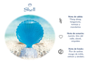 SHELL CARIBE 50ML 2022