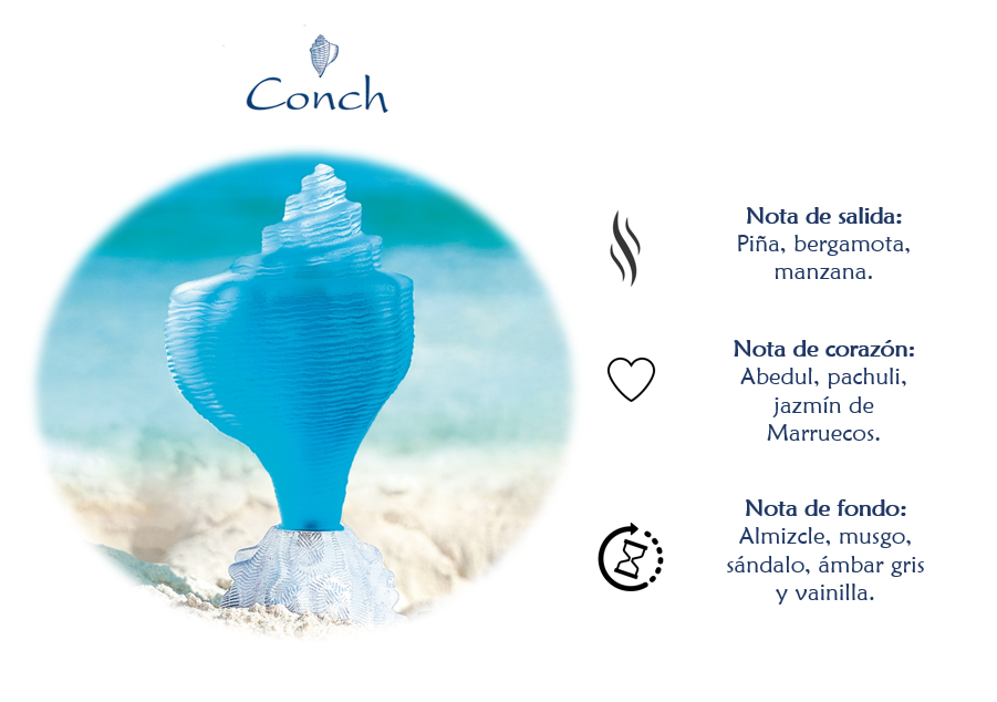 CONCH CARIBE 3ML 2022